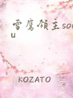 雪鹰领主sodu