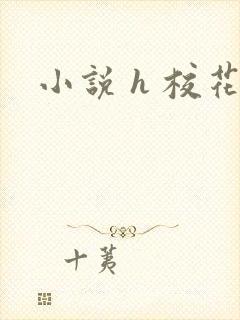 小说 h 校花