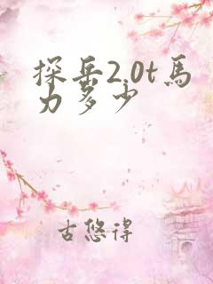 探岳2.0t马力多少