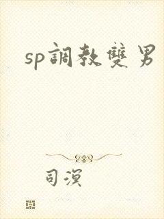 sp调教双男主