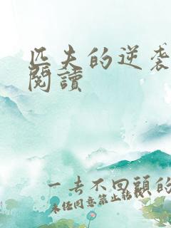 匹夫的逆袭免费阅读