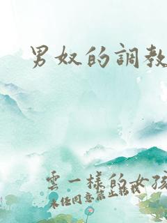男奴的调教小说