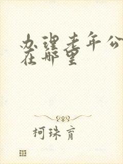 办理老年公交卡在哪里