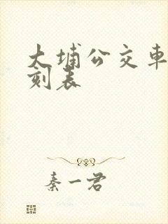 大埔公交车站时刻表 大埔公交车站时刻表