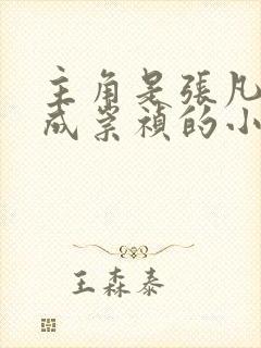 主角是张凡穿越成崇祯的小说