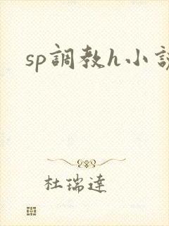 sp调教h小说