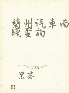 兰州汽车南站在线查询