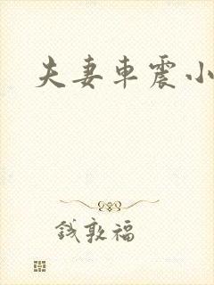 夫妻车震小说