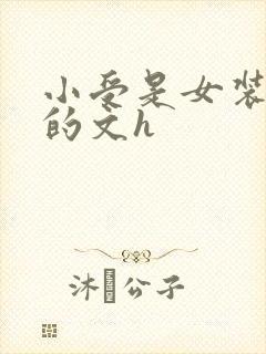 小受是女装大佬的文h