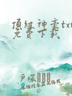 顶级神豪txt免费下载