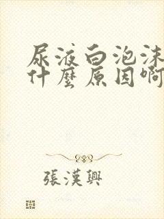 尿液白泡沫多是什么原因啊