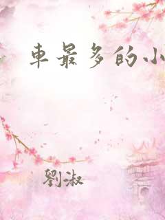 车最多的小说 车最多的小说