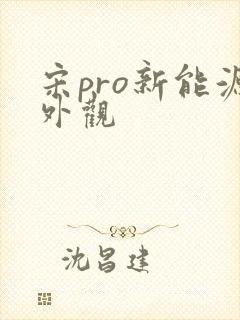 宋pro新能源外观