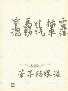 宝马x1 插电混动汽车落地价