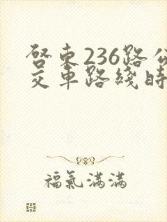 启东236路公交车路线时刻表