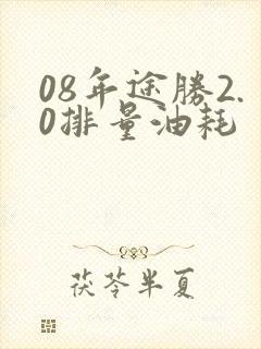 08年途胜2.0排量油耗