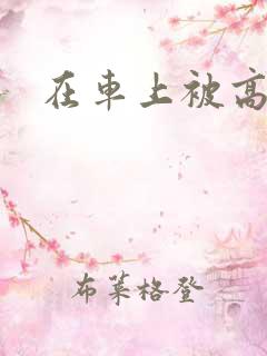 在车上被高潮