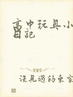 高中玩具小诗的日记