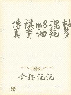 传祺m8混动版真实油耗多少 传祺m8混动版真实油耗多少