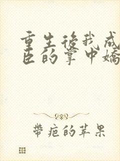 重生后我成了权臣的掌中娇小说免费全本阅读