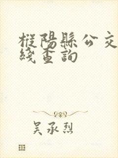 枞阳县公交车路线查询