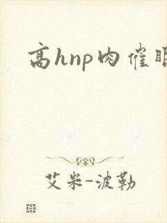 高hnp肉催眠