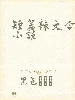 短篇辣文合集的小说