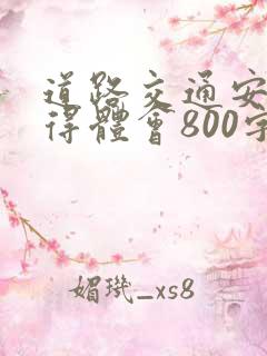 道路交通安全心得体会800字