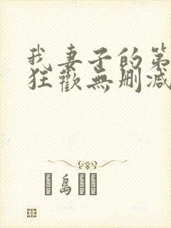 我妻子的第一次狂欢无删减版