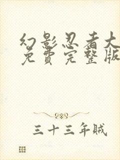 幻影忍者大电影免费完整版中文版
