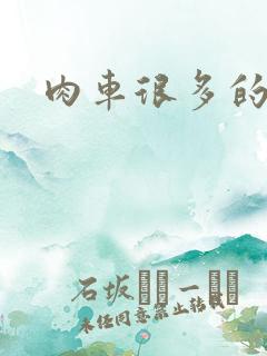 肉车很多的小说