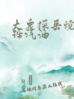 大众探岳烧多少号汽油