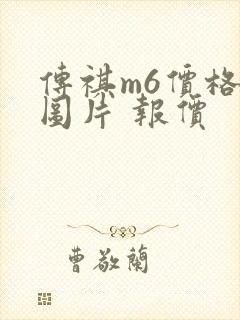 传祺m6价格及图片 报价 传祺m6价格及图片 报价