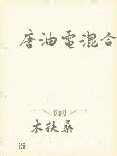 唐油电混合价格