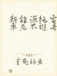 新能源纯电动汽车充不进去电