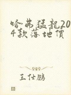 哈弗猛龙2024款落地价