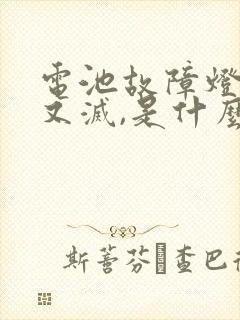 电池故障灯亮了又灭,是什么问题