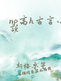 np高h古言小说