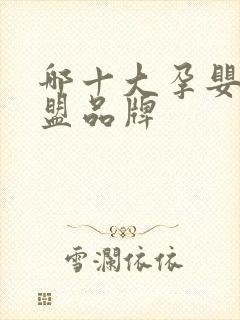 哪十大孕婴店加盟品牌