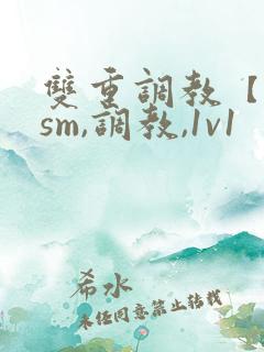 双重调教【bdsm,调教,1v1