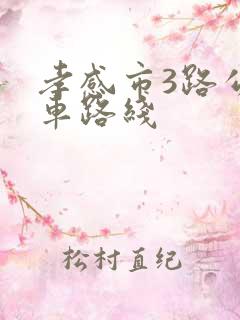 孝感市3路公交车路线