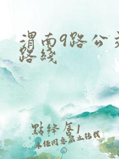 渭南9路公交车路线