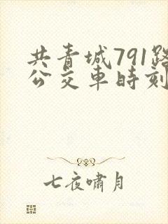 共青城791路公交车时刻表查询