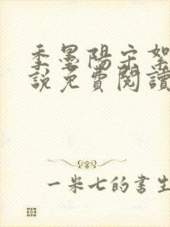 季墨阳宋絮晚小说免费阅读全文最新章节