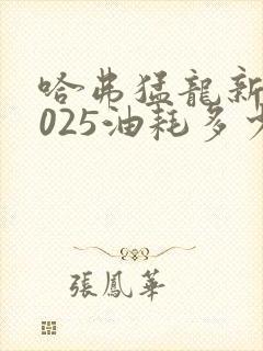 哈弗猛龙新款2025油耗多少