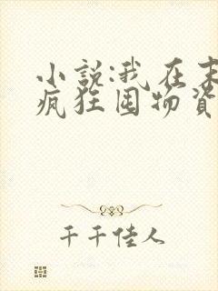小说:我在末世疯狂囤物资