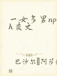 一女多男np巨h爽文