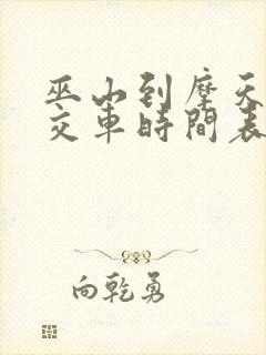 巫山到摩天岭公交车时间表