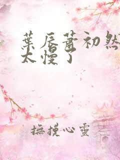 叶辰萧初然更新太慢了