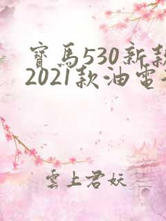 宝马530新款2021款油电混合